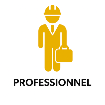 Professionnel